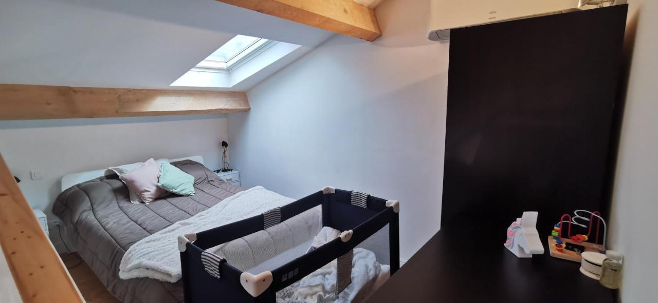 Appartements Et Studio Renoves En 2022, Intra Muros Avignone Esterno foto